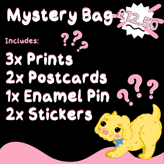 £12.50 Mystery Bag