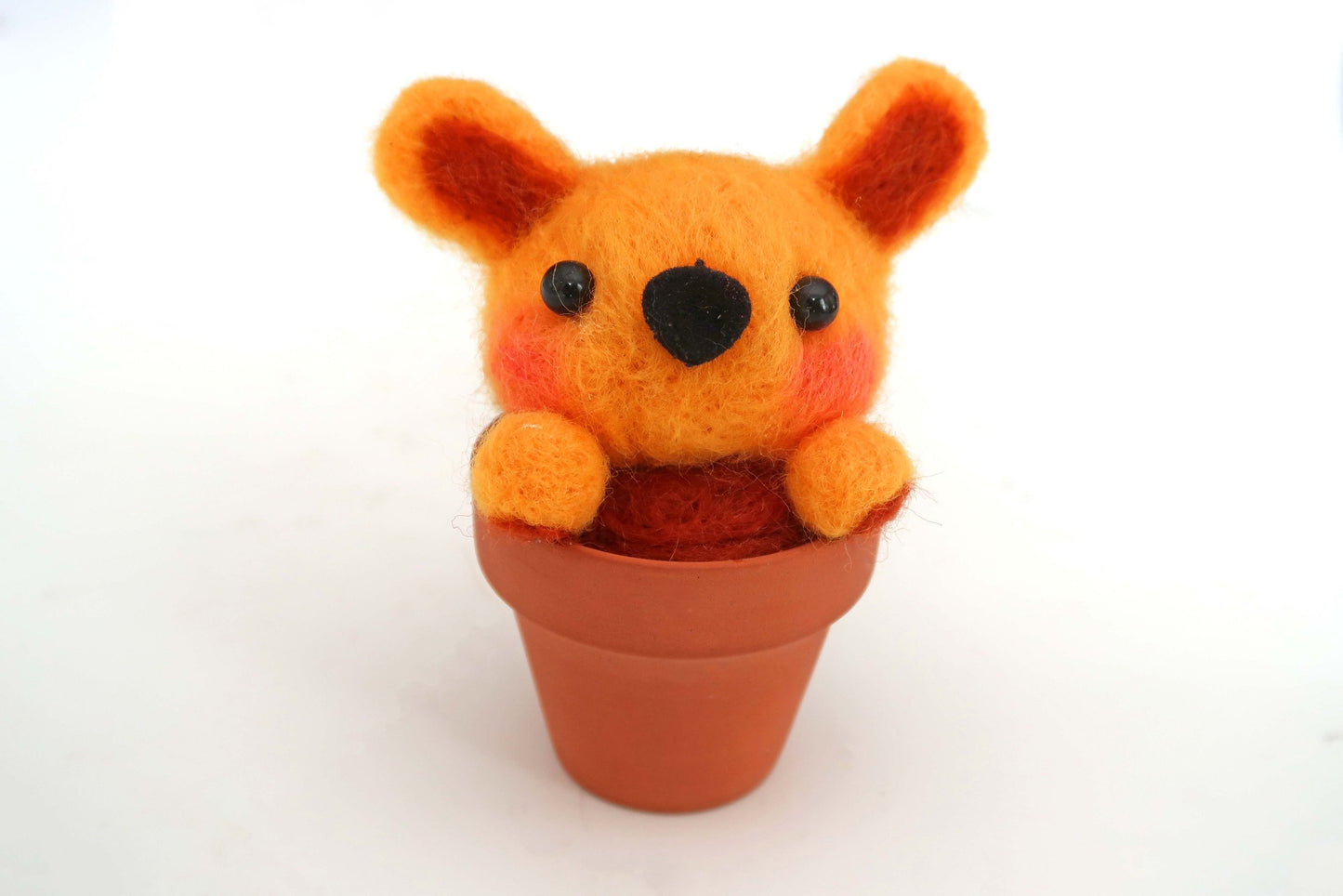 Tangerine Cactus Bear