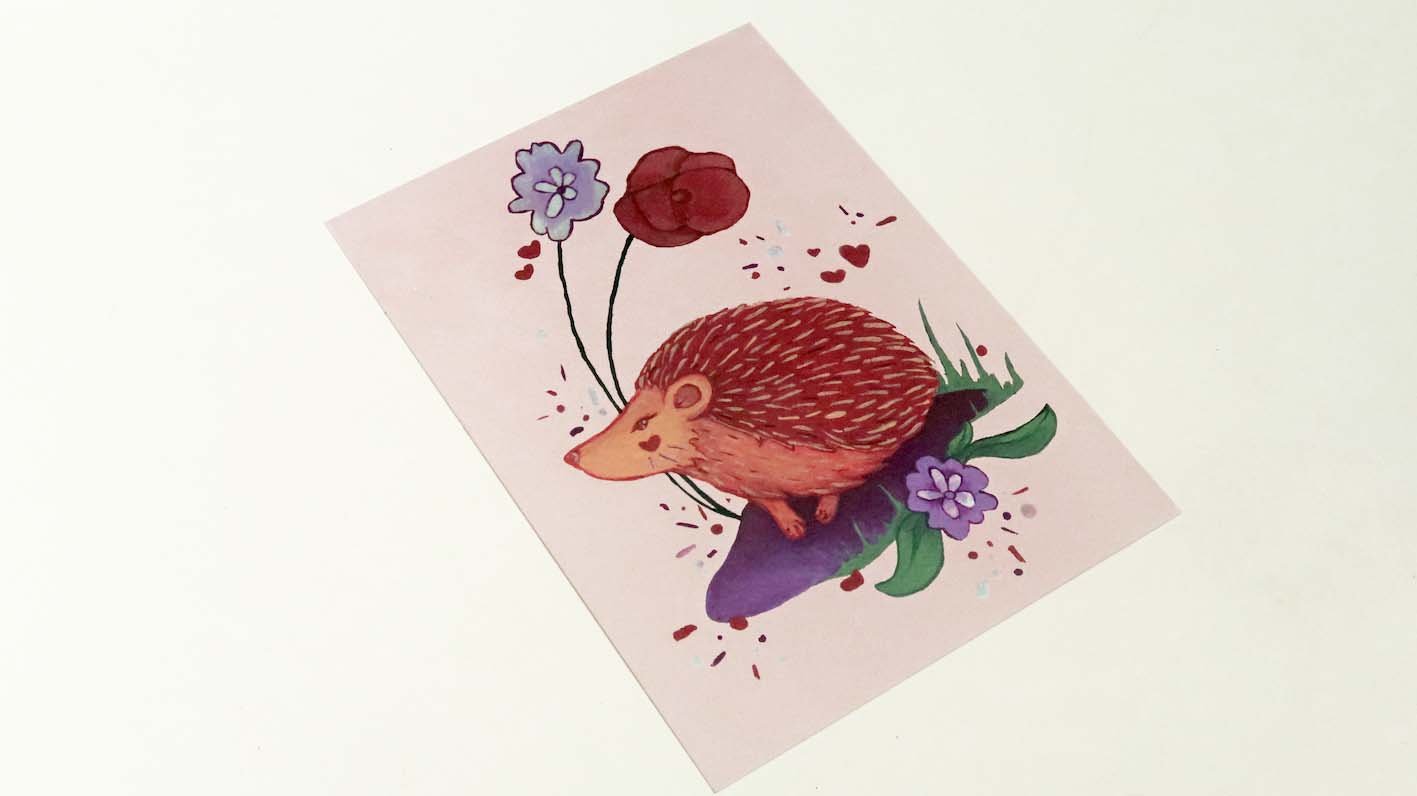 Hedgehog Postcard Print