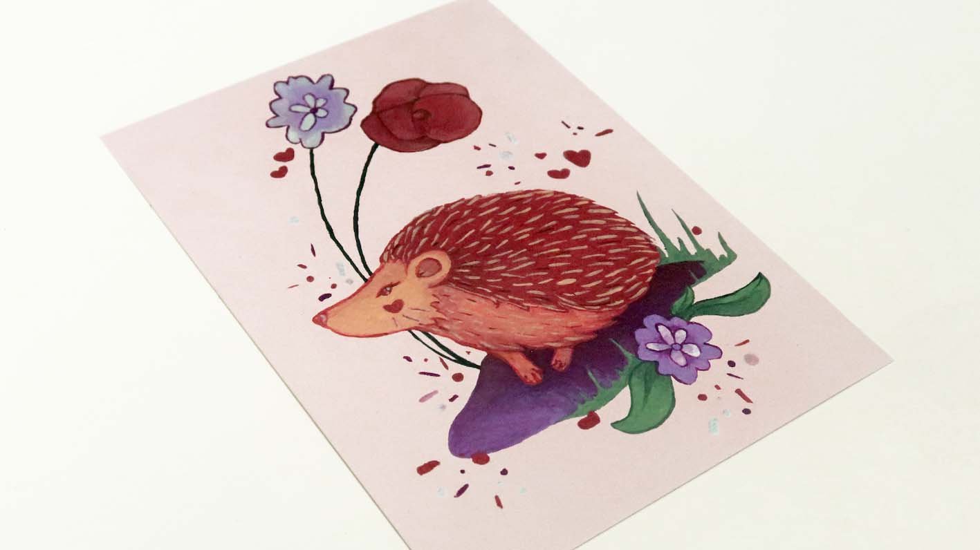 Hedgehog Postcard Print