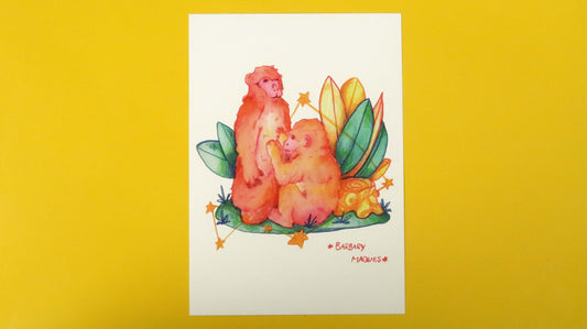 Monkey Baby & Mother Postcard Print