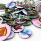 Bird Button Badge